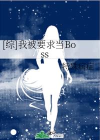 [综]我被要求当Boss