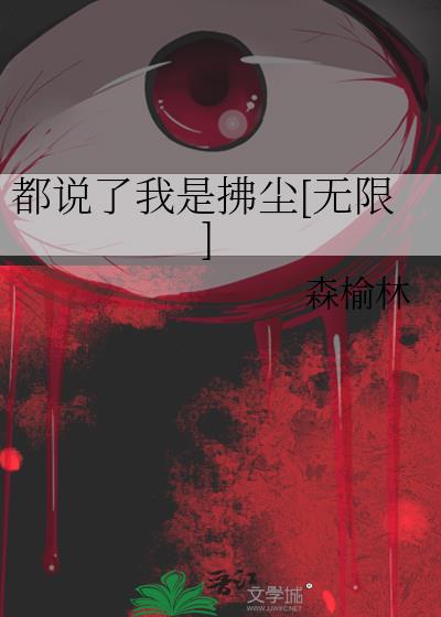 都说了我是拂尘[无限]