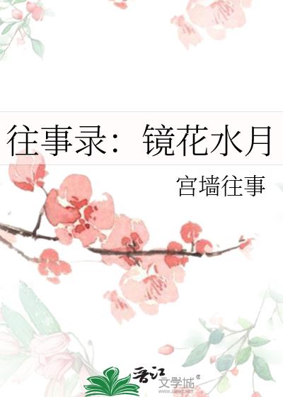 往事录：镜花水月